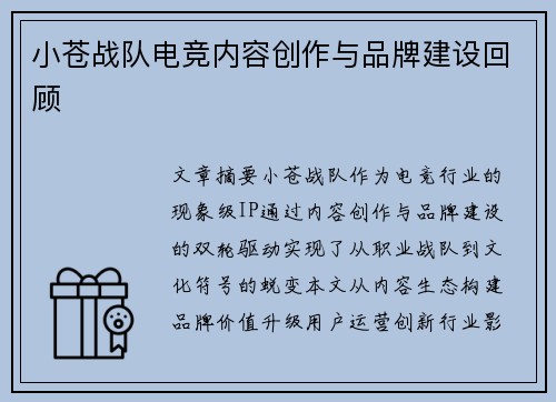 小苍战队电竞内容创作与品牌建设回顾